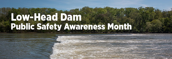 低水头坝安全宣传月