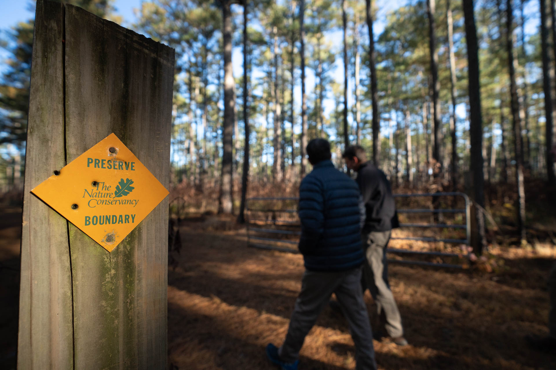 大自然保护协会