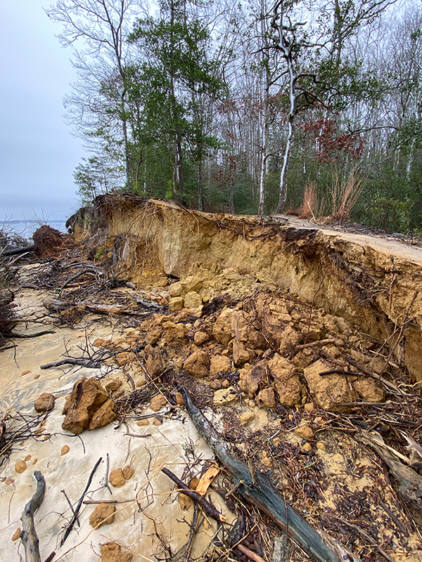 约克河州立公园海岸线稳定前