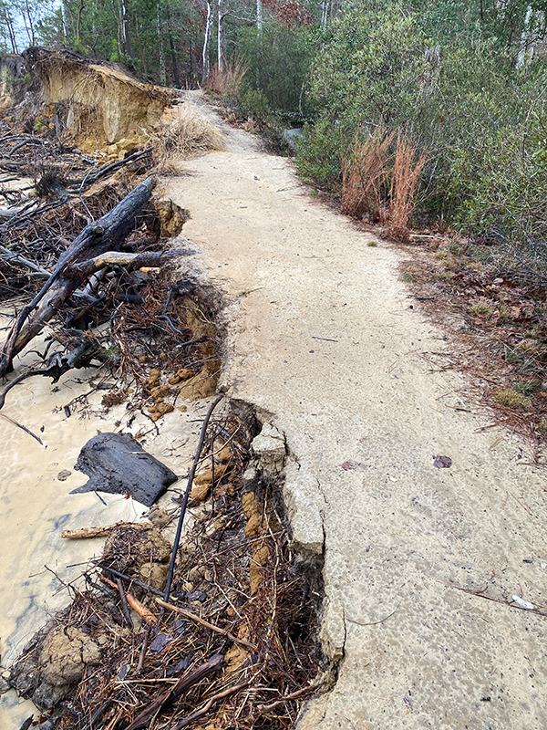 约克河州立公园海岸线稳定前