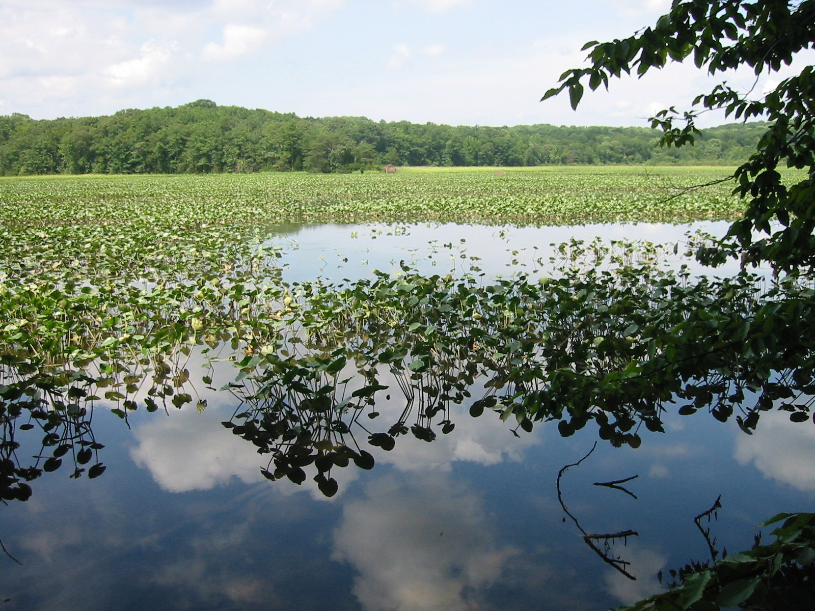 显示 Crow's Nest 自然保护区