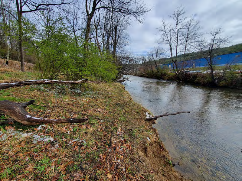 迪克森木材土地捐赠