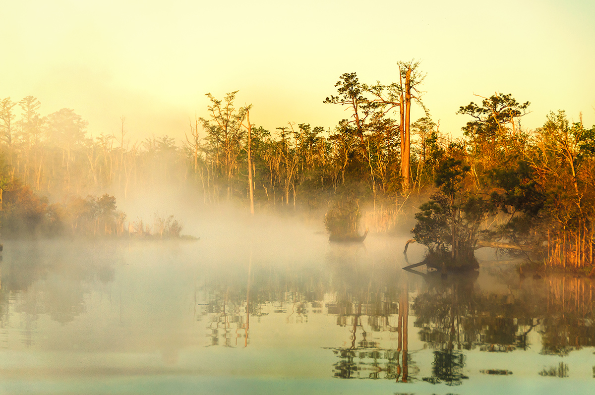 雾蒙蒙的北登陆河，荣誉奖，照片由埃里克·摩尔拍摄