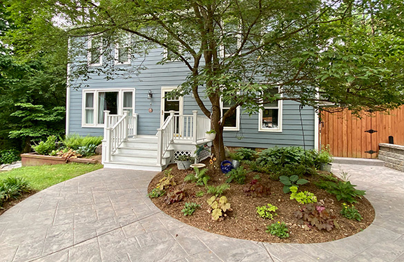 种植本地植物之前的房子