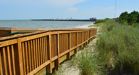 纽波特纽斯的金-林肯公园照片由纽波特纽斯公园、娱乐和旅游局提供