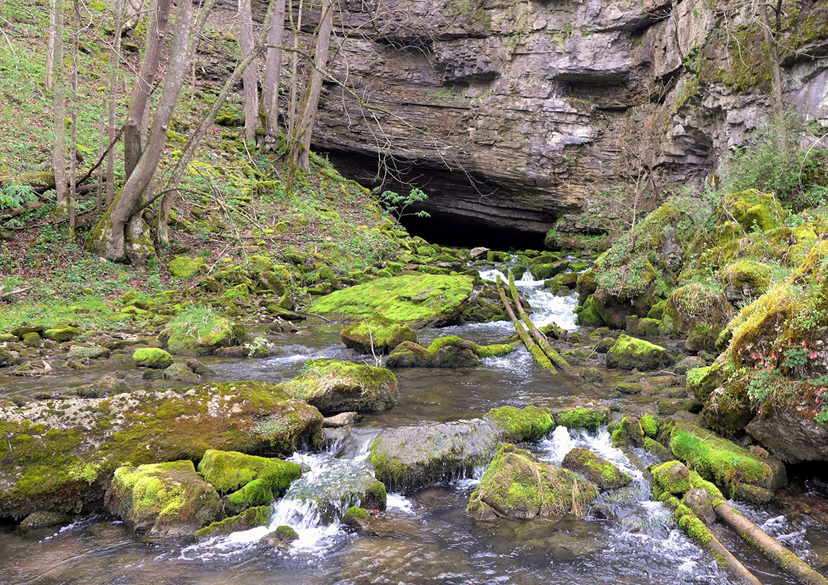 马登泉。照片由 katarina ficco 拍摄。