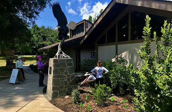 梅森内克州立公园