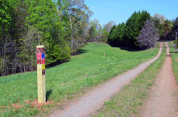未来的梅奥河州立公园