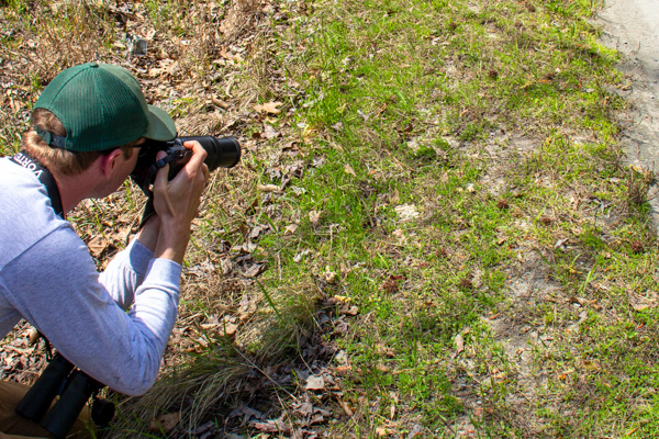戴着绿色帽子的人用相机拍摄路边稀疏草地的照片。