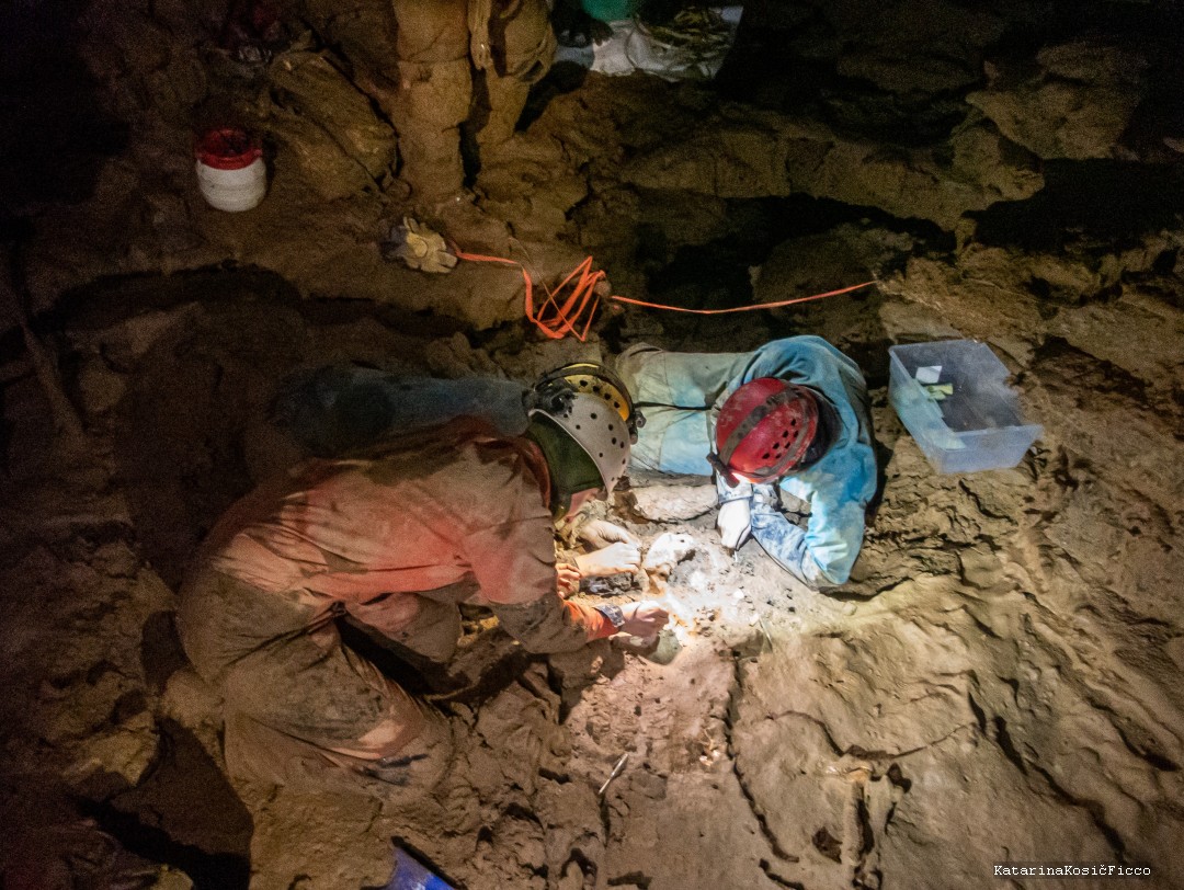 团队在骨架周围进行细致的挖掘。