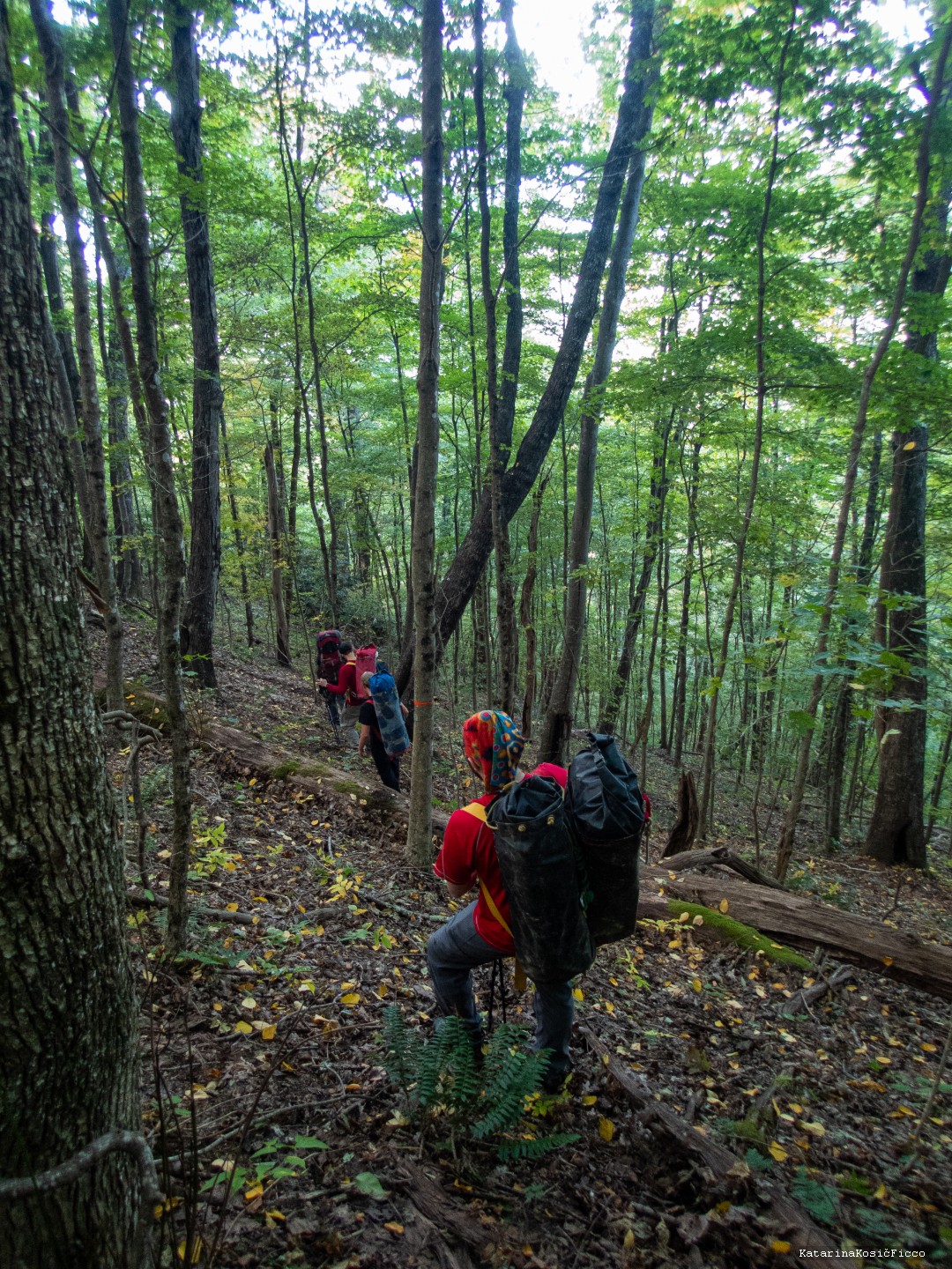 穿过茂密的树林徒步前往洞穴。 