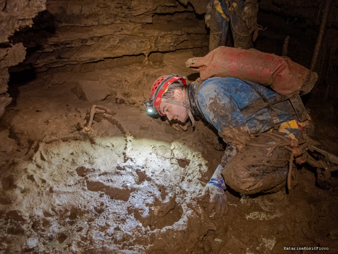 检查洞穴中的骨骼。