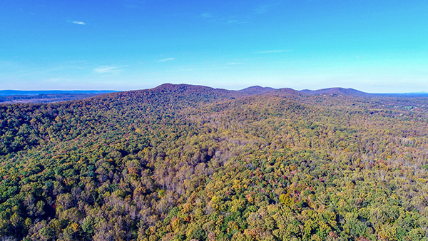 布尔朗山自然保护区鸟瞰图
