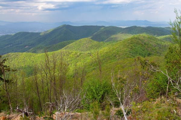 贫民山自然保护区