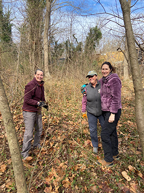 工作人员清除入侵物种