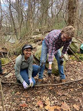工作人员清除入侵物种