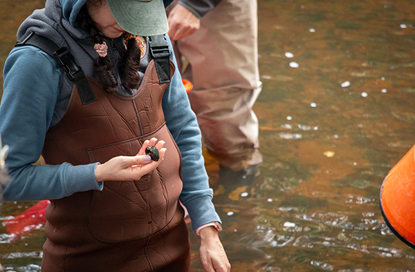 湿婆·托拉比安
