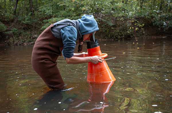 湿婆·托拉比安