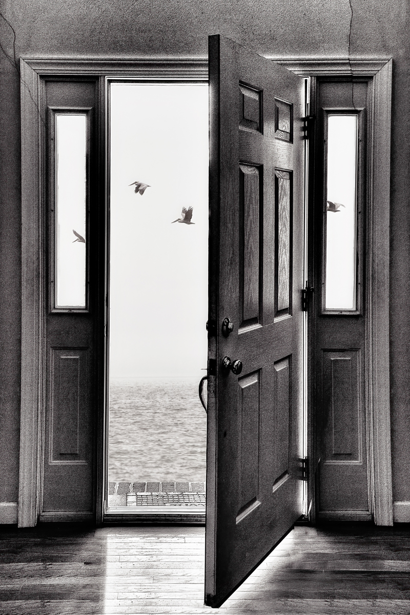 温迪·尼尔森的《末日》 温迪·尼尔森的《末日》