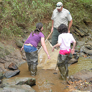 水手溪战场州立公园的溪流中
