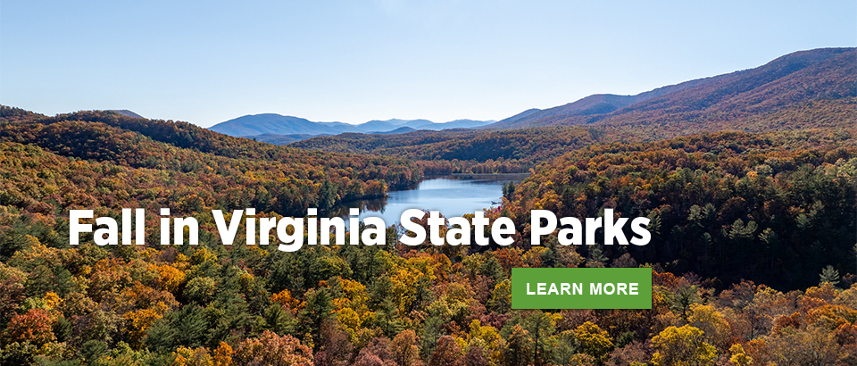 弗吉尼亚州立公园的秋天