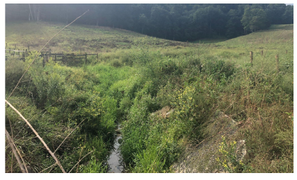 farm-thornridge-farm-1.png farm-thornridge-farm-1.png