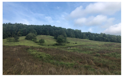 farm-thornridge-farm-2.png farm-thornridge-farm-2.png