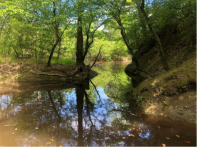 for-mattaponi-1.png for-mattaponi-1.png