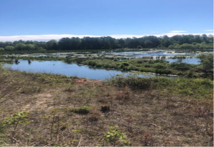 for-mattaponi-2.png for-mattaponi-2.png