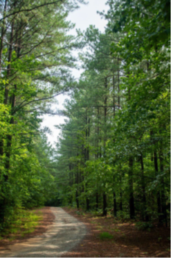 for-roanoke-river-1.png for-roanoke-river-1.png