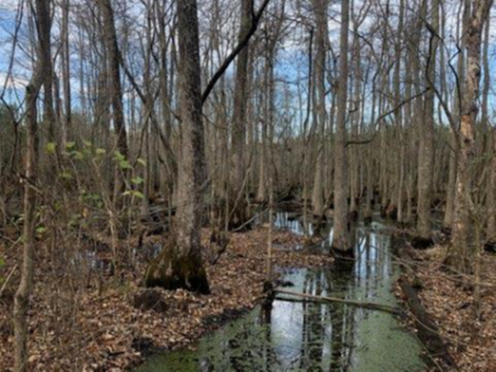 for-three-creek-1.png for-three-creek-1.png