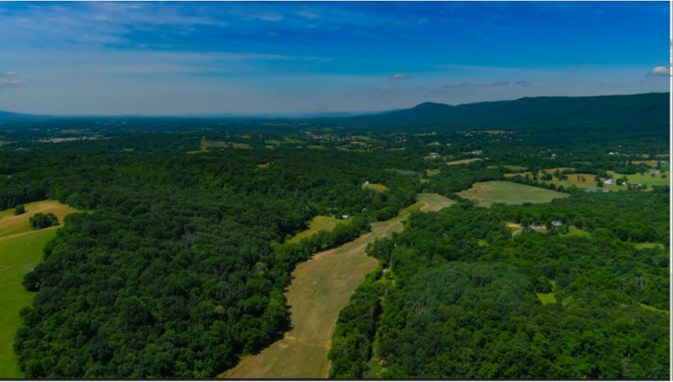 hist-french-3.png hist-french-3.png