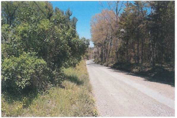 hist-mauller-1.png hist-mauller-1.png