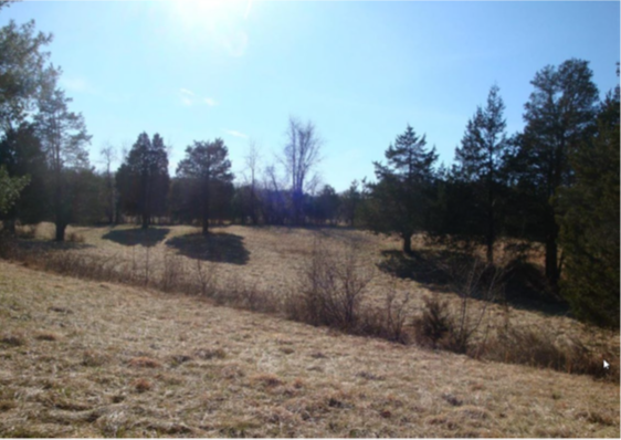 hist-mauller-2.png hist-mauller-2.png