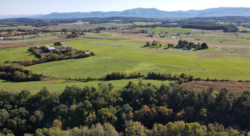 hist-shiflett.png hist-shiflett.png