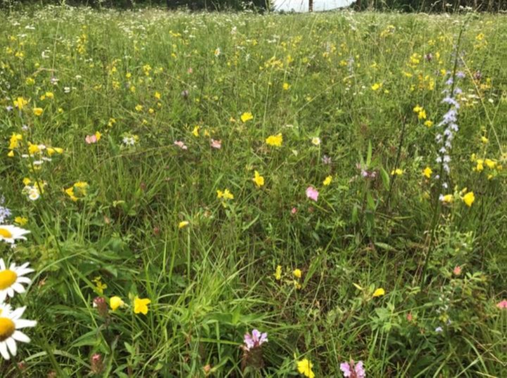 na-difficult-creek-north-1.jpg na-difficult-creek-north-1.jpg