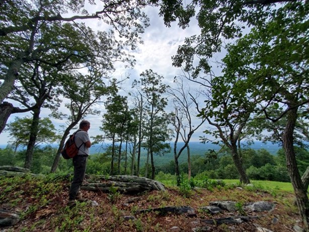 nat-bull-run.jpg nat-bull-run.jpg