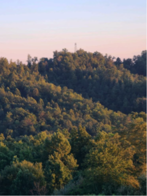 nat-gent-branch-1.png nat-gent-branch-1.png