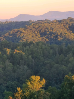 nat-gent-branch-2.png nat-gent-branch-2.png