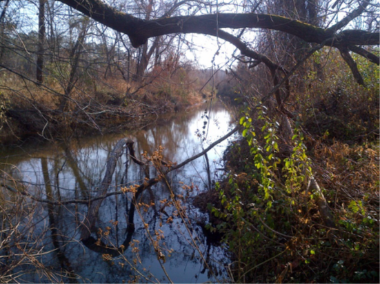 nat-moores-creek.png nat-moores-creek.png