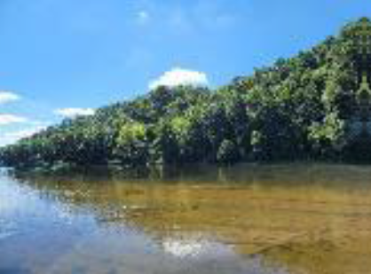 nat-new-river-1.png nat-new-river-1.png