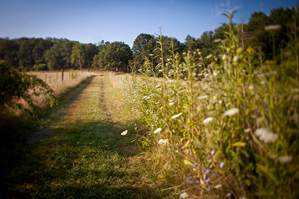 谢南多厄河州立公园。照片 Saxman 摄影