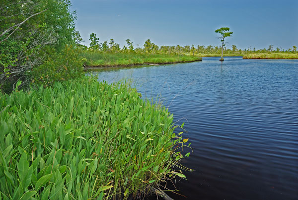 北登陆河自然保护区