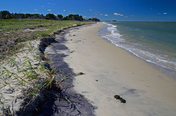 帕拉莫尔岛自然保护区