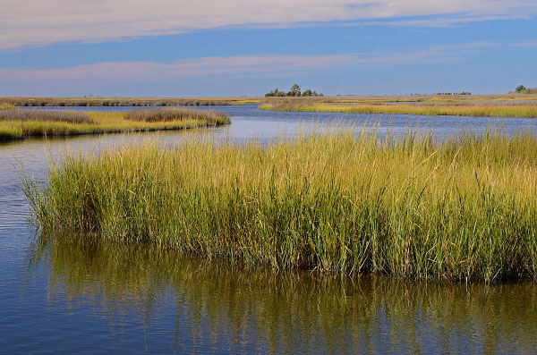 马克斯和杰克斯群岛自然保护区