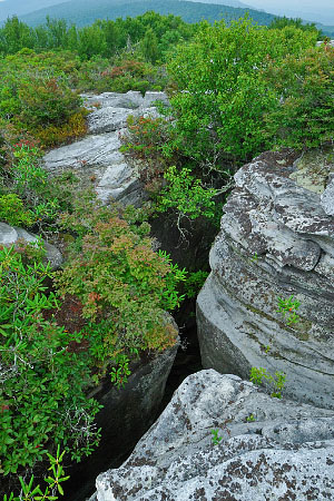 Channels NAP 的照片