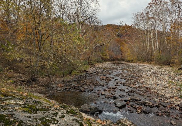 布罗克斯峡自然保护区