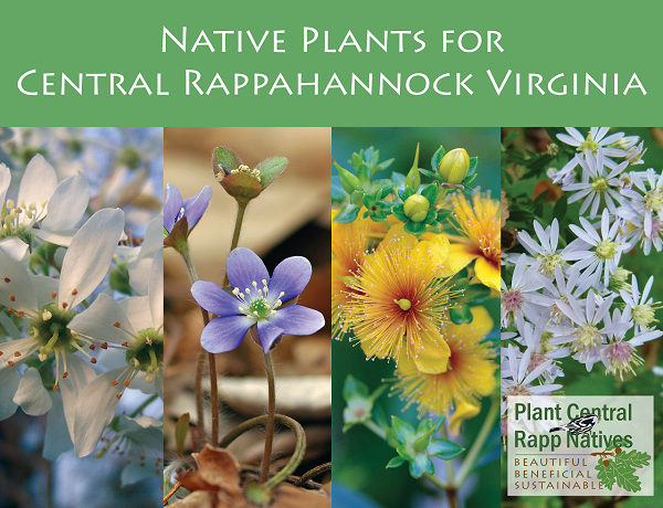 植物指南的封面图片