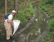 实地动物学家清点珍稀物种的照片