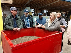 本地野花种子容器图片